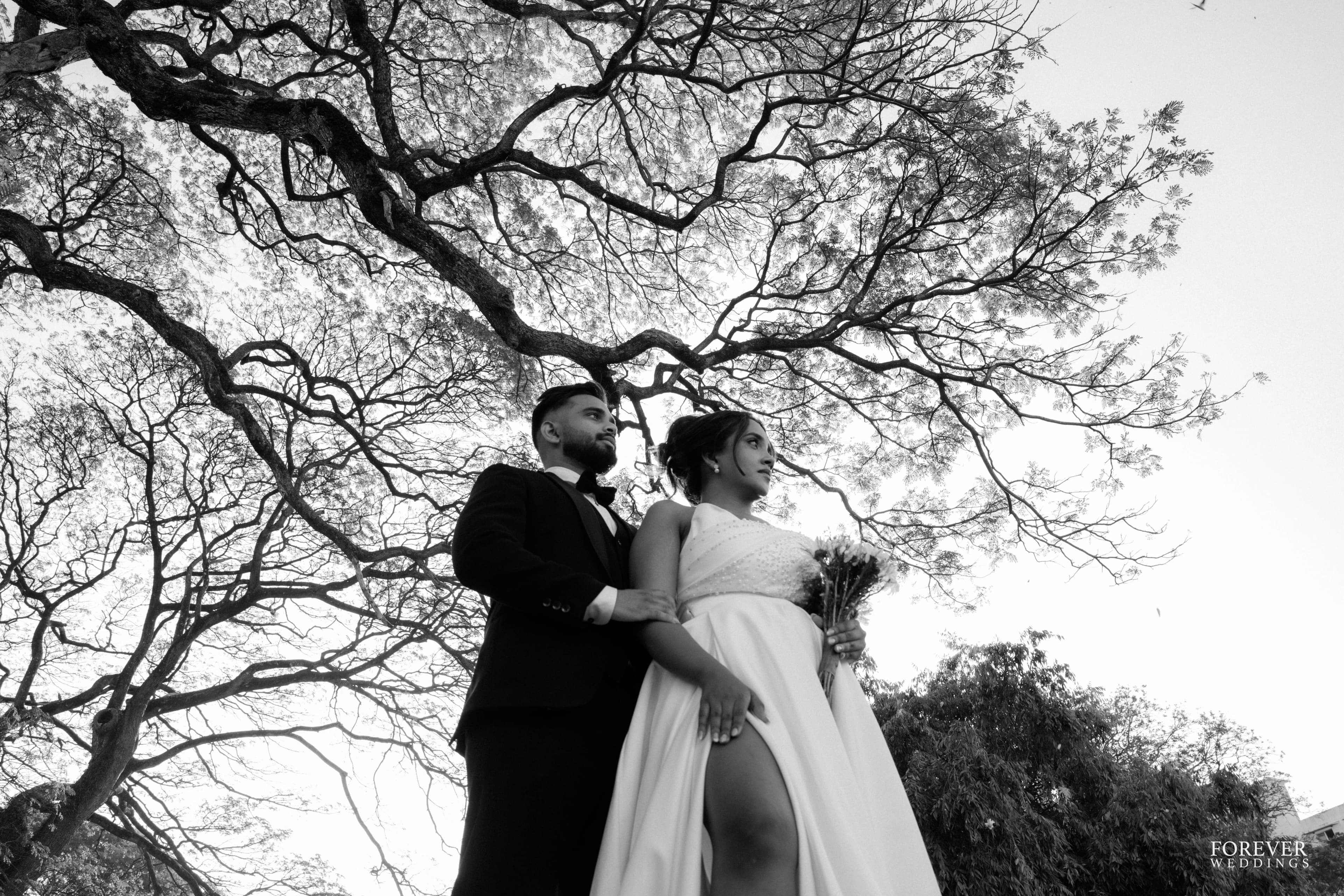 Elegant moment